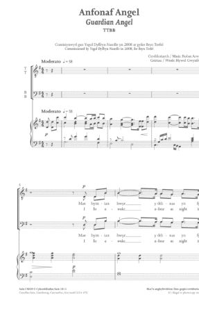 Anfonaf Angel TTBB - Robat Arwyn